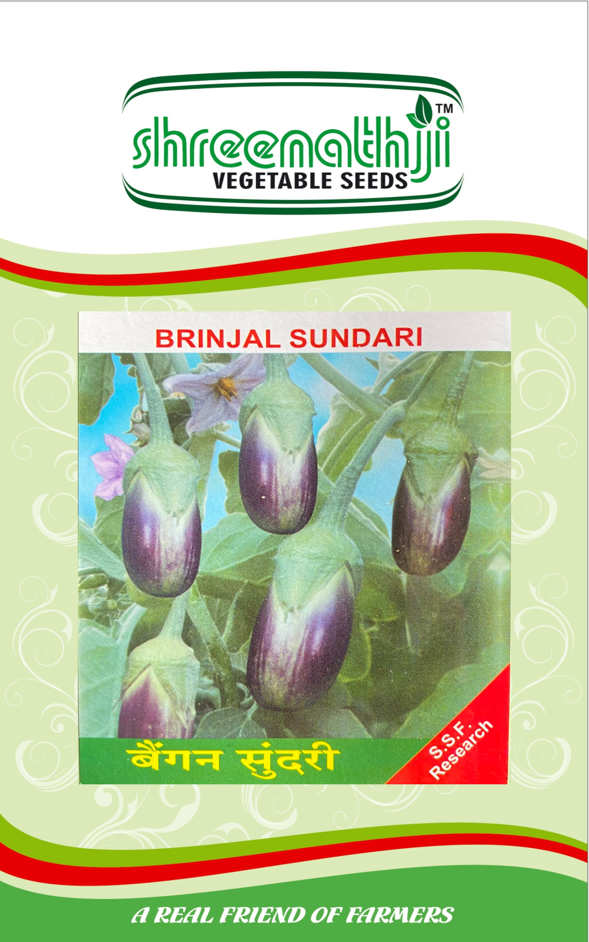 રીંગણ સુંદરી